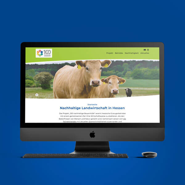 100nB-Website