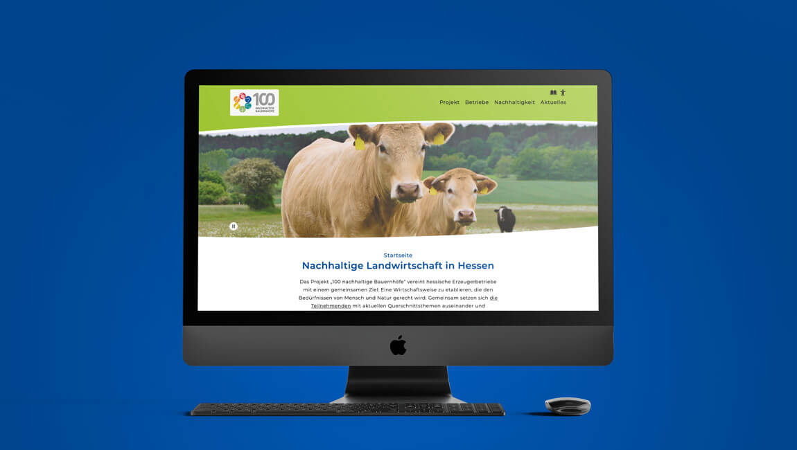 100nB-Website